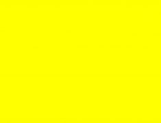 ADA12 LAQUE bouton d'or